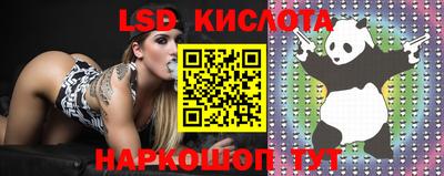 шишки Северобайкальск