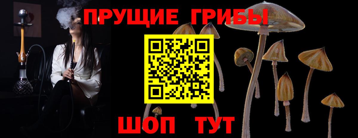 Галлюциногенные грибы Psilocybine cubensis  Вход с VPN  Псилоцибиновые грибы MAGIC MUSHROOMS  Анжеро-Судженск 